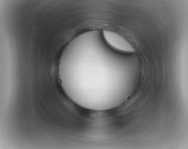 X0000114440079200910161100