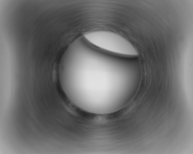 X0000114440080200910161101
