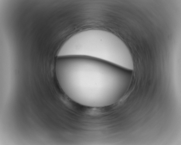 X0000114440082200910161101