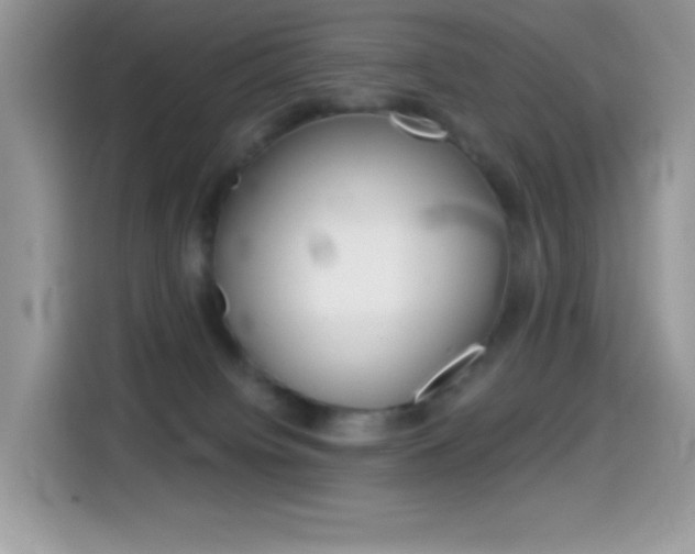 X0000114440084200910161101
