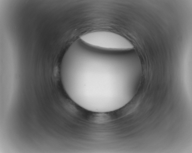 X0000114440087200910161101