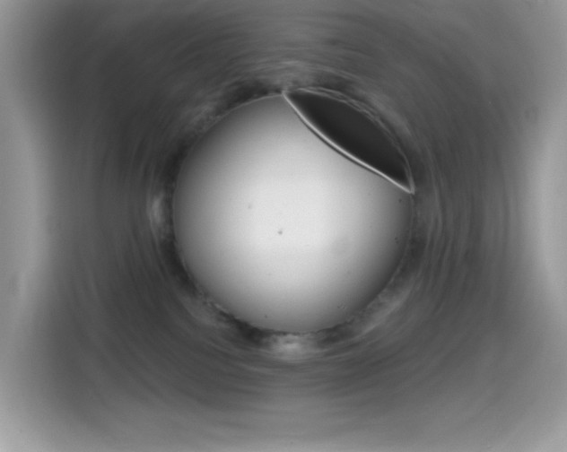 X0000114440088200910161101