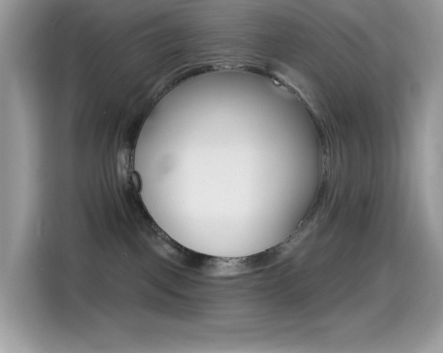 X0000114440093200910161101