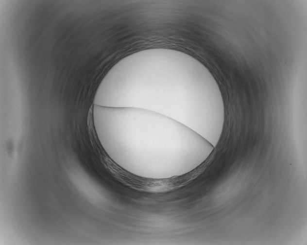 X0000114440095200910161101