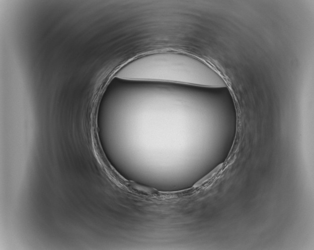 X0000114440097200910161100