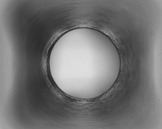 X0000114440098200910161100