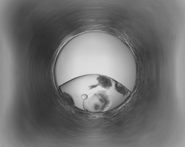 X0000114440099200910161100