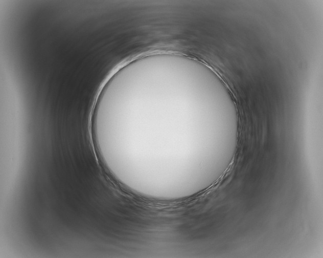 X0000114440100200910161100