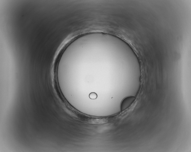 X0000114440102200910161100