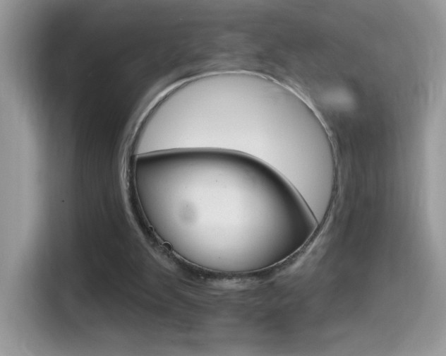 X0000114440103200910161100