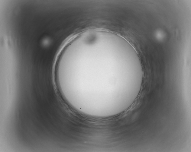 X0000114440104200910161100