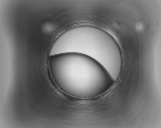 X0000114440105200910161100