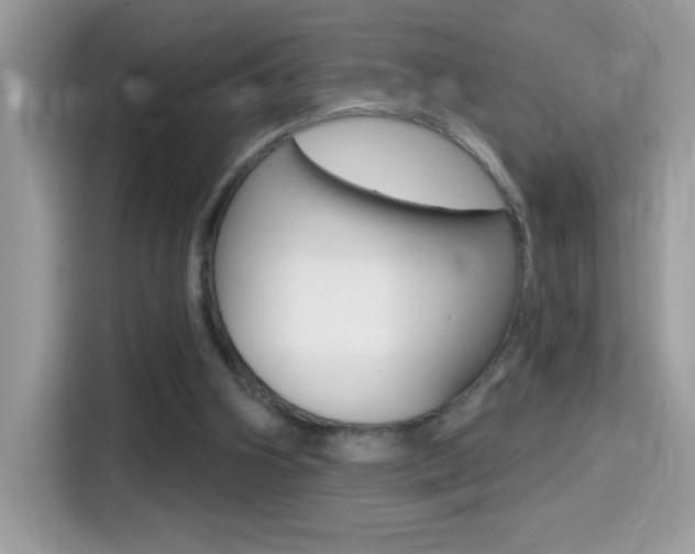 X0000114440106200910161100