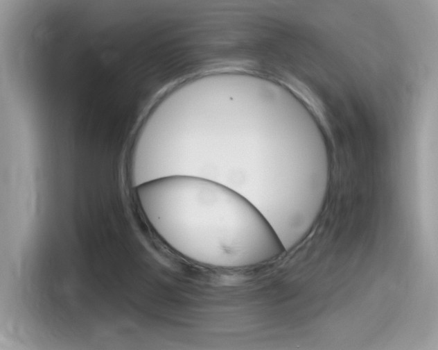 X0000114440107200910161100