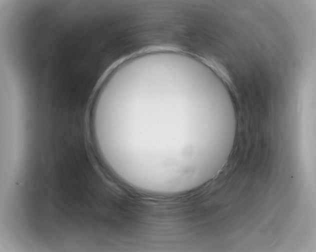 X0000114440108200910161100