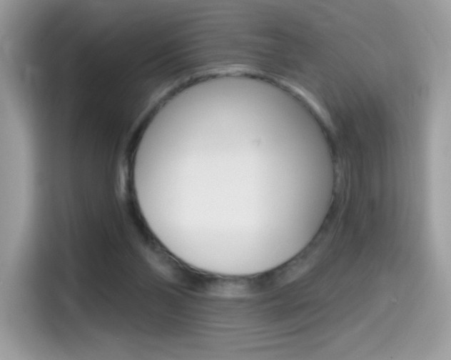 X0000114440110200910161100