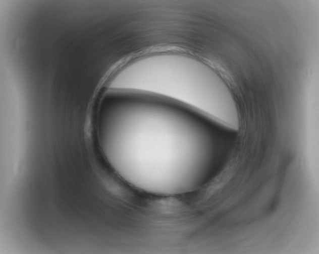 X0000114440112200910161100