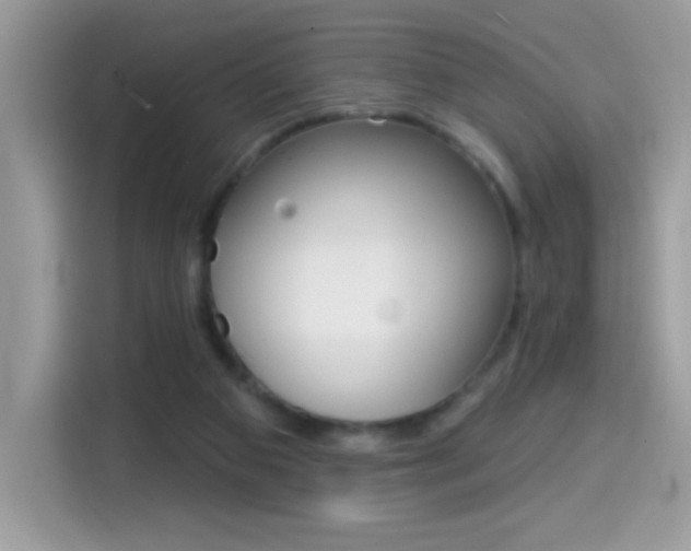 X0000114440113200910161100