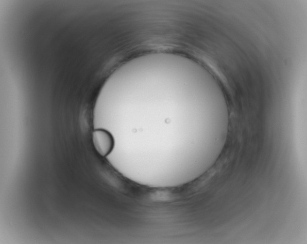 X0000114440114200910161100