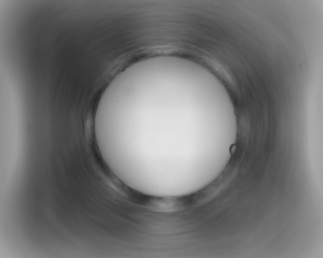 X0000114440118200910161100