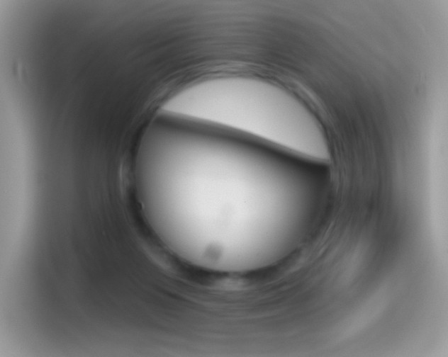 X0000114440119200910161100