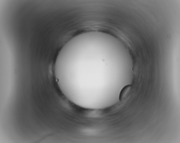X0000114440122200910161100