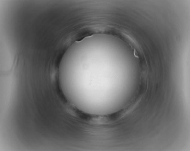 X0000114440125200910161100