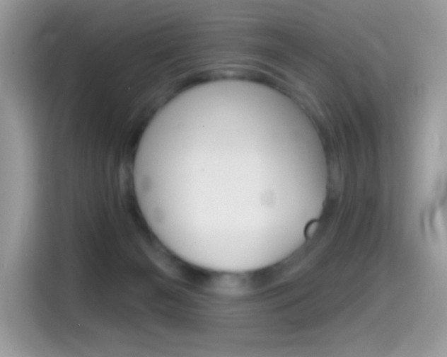 X0000114440126200910161100