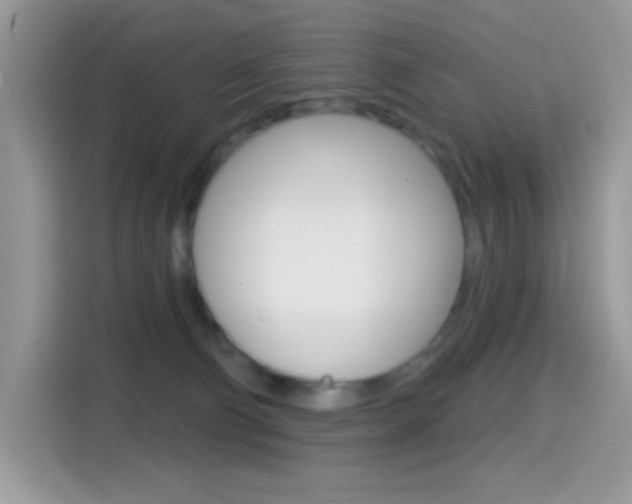 X0000114440130200910161100
