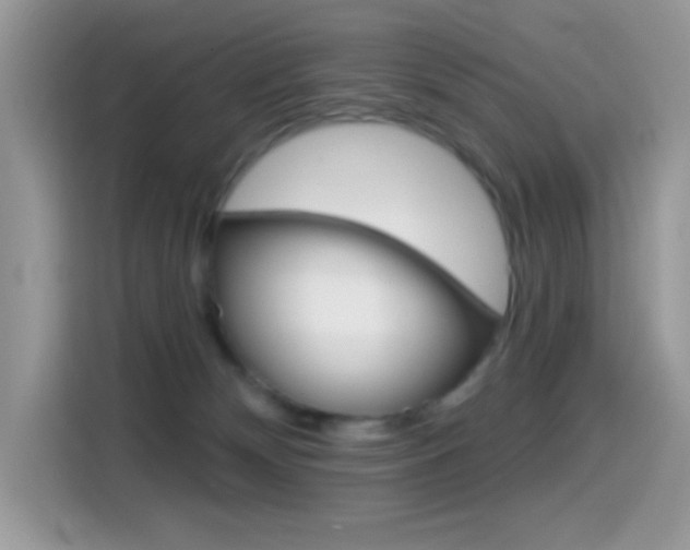 X0000114440132200910161100