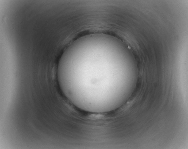 X0000114440133200910161100