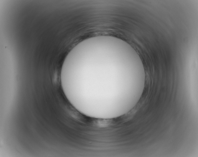 X0000114440134200910161059