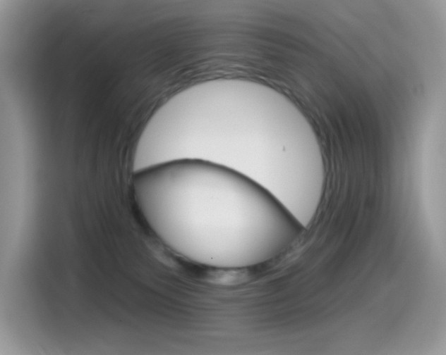 X0000114440135200910161059