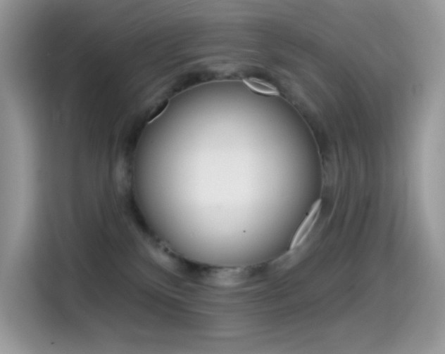 X0000114440136200910161059