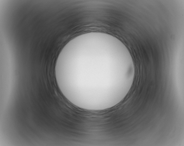 X0000114440137200910161059