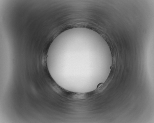 X0000114440138200910161059