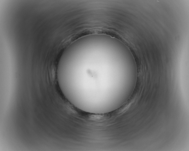 X0000114440139200910161059