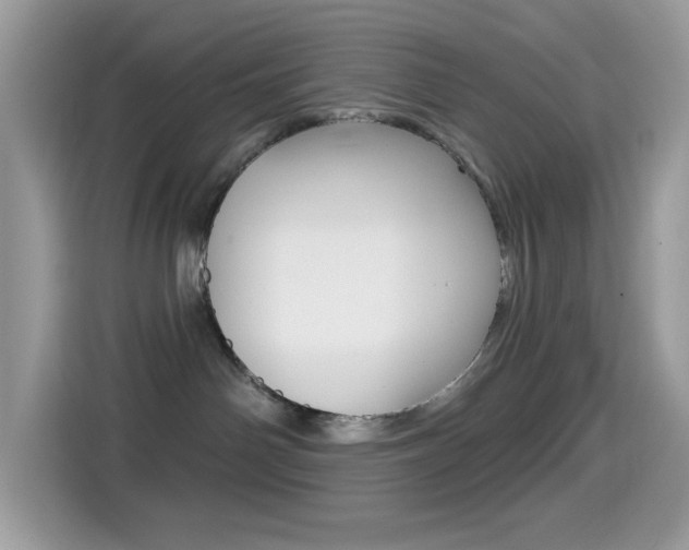 X0000114440142200910161059