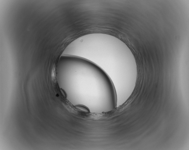 X0000114440143200910161059