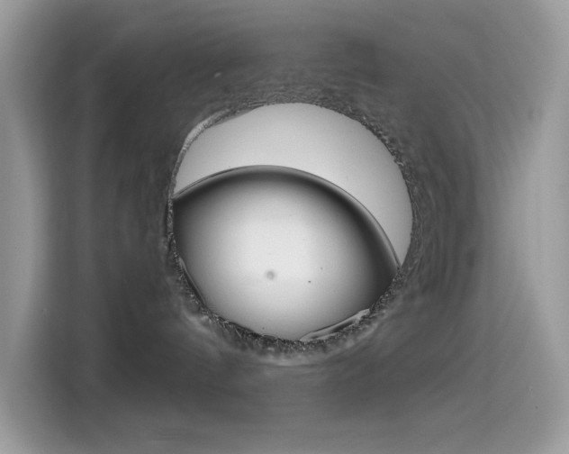 X0000114440144200910161059