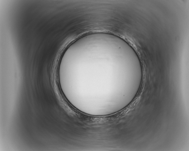 X0000114440145200910161059