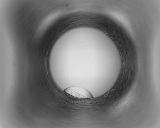 X0000114440146200910161059