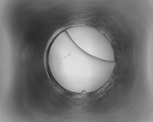 X0000114440147200910161059