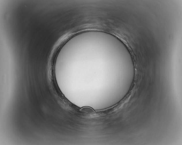 X0000114440149200910161059