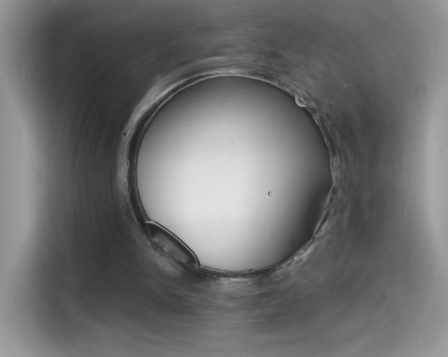 X0000114440150200910161059