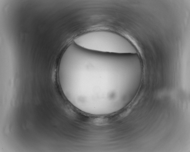 X0000114440153200910161059