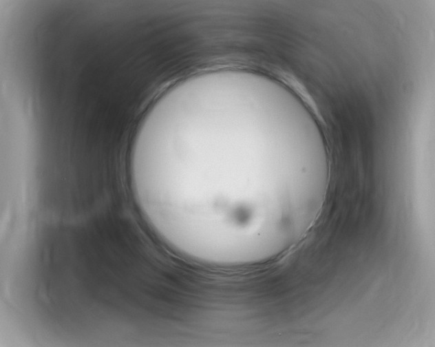 X0000114440154200910161059