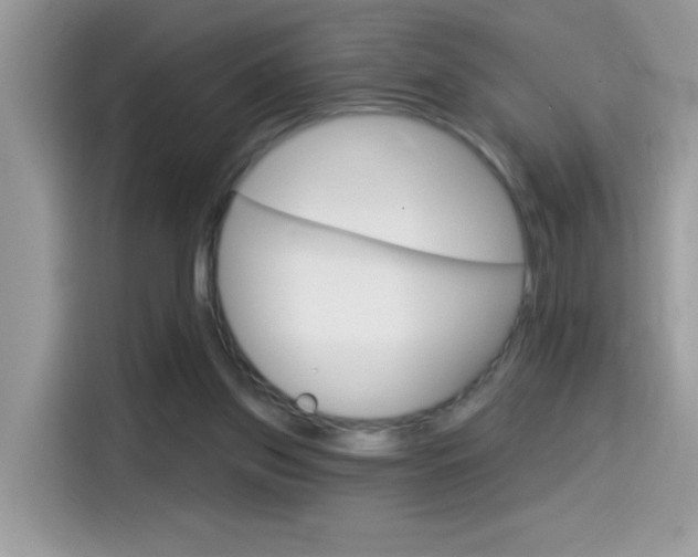 X0000114440157200910161059