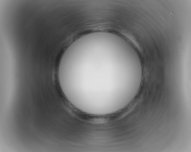 X0000114440161200910161059