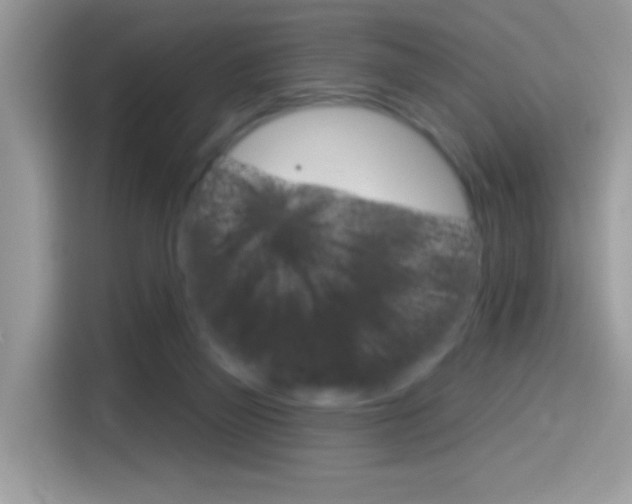 X0000114440165200910161059
